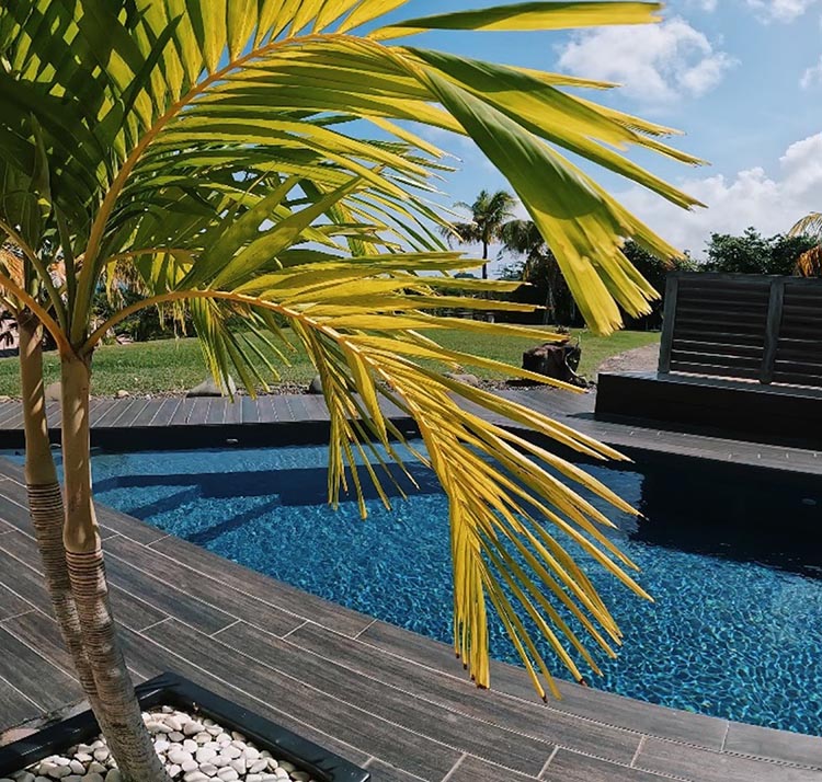 Pose de carrelage pour piscine Martinique